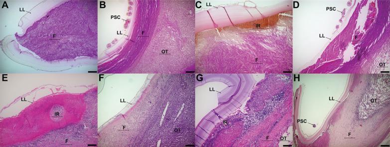 https://cdn.ncbi.nlm.nih.gov/pmc/blobs/5ddf/8105927/118f89ad1a41/13567_2021_936_Fig2_HTML.jpg