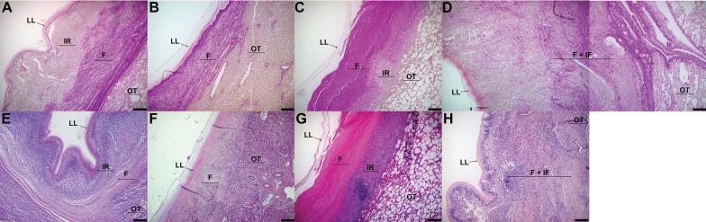 https://cdn.ncbi.nlm.nih.gov/pmc/blobs/5ddf/8105927/16c1151df6b5/13567_2021_936_Fig1_HTML.jpg