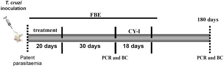 https://cdn.ncbi.nlm.nih.gov/pmc/blobs/5de1/3486905/b60dc540412b/pntd.0001870.g002.jpg
