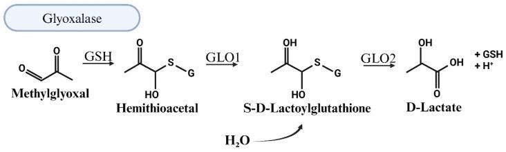 https://cdn.ncbi.nlm.nih.gov/pmc/blobs/5de2/12031240/b0aeef153a9a/viruses-17-00547-g004.jpg