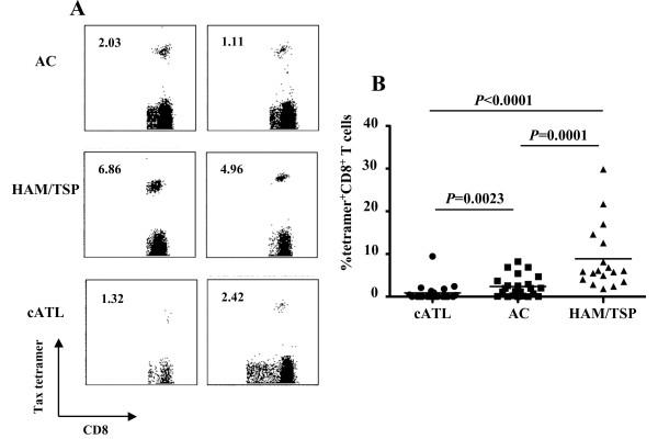 https://cdn.ncbi.nlm.nih.gov/pmc/blobs/5de3/3261825/1e522eb6c98f/1742-4690-8-100-1.jpg