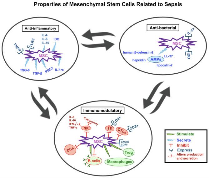https://cdn.ncbi.nlm.nih.gov/pmc/blobs/5de7/12082945/a10c3dbf6e59/13287_2025_4371_Fig1_HTML.jpg