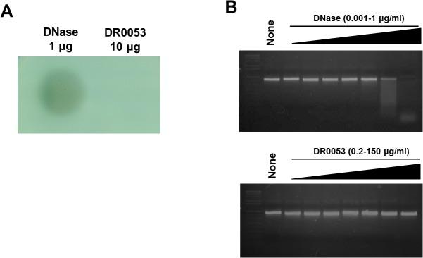 https://cdn.ncbi.nlm.nih.gov/pmc/blobs/5de9/4338110/9fbc963067e3/pone.0118275.g006.jpg