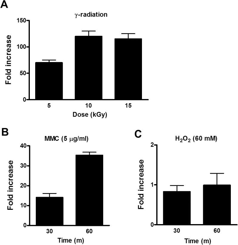 https://cdn.ncbi.nlm.nih.gov/pmc/blobs/5de9/4338110/f51f1bb2a3d6/pone.0118275.g001.jpg