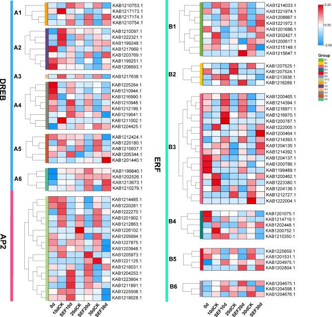 https://cdn.ncbi.nlm.nih.gov/pmc/blobs/5ded/11603639/9dfa6b79b4f2/12870_2024_5847_Fig7_HTML.jpg