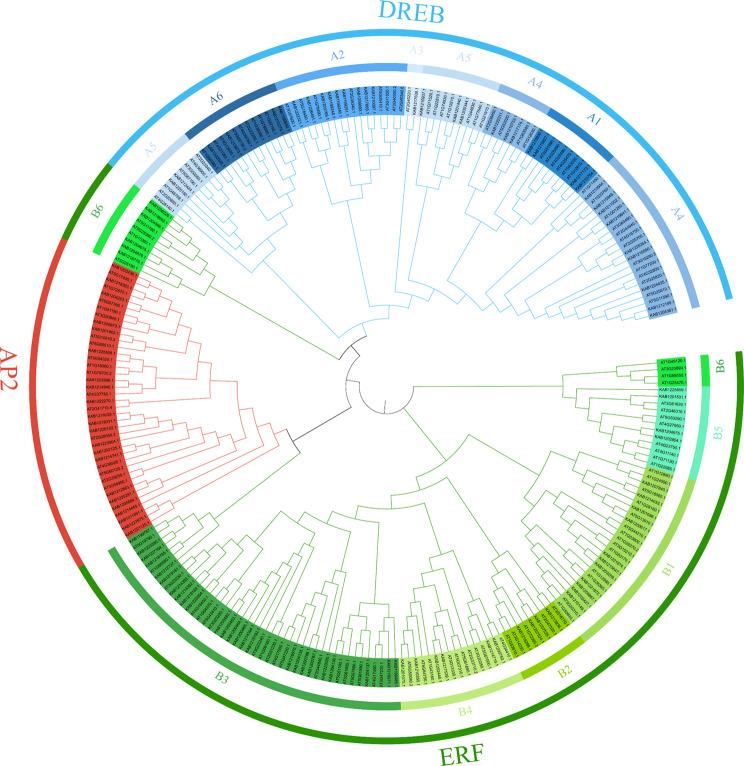 https://cdn.ncbi.nlm.nih.gov/pmc/blobs/5ded/11603639/aba78fdb42b3/12870_2024_5847_Fig1_HTML.jpg