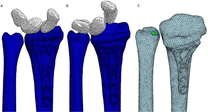 https://cdn.ncbi.nlm.nih.gov/pmc/blobs/5dee/12144170/fd05f14cf543/41598_2025_4792_Fig5_HTML.jpg