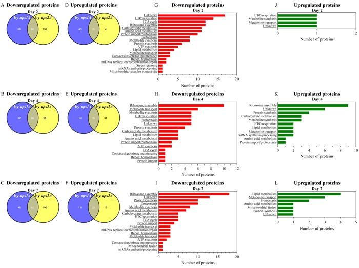 https://cdn.ncbi.nlm.nih.gov/pmc/blobs/5df1/5458158/ad10dec082e7/oncotarget-08-30672-g009.jpg