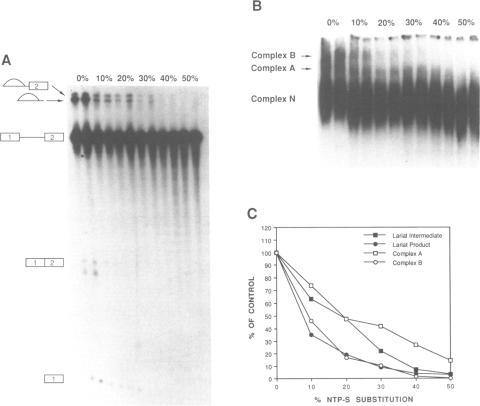 https://cdn.ncbi.nlm.nih.gov/pmc/blobs/5df2/312311/f51078fa5716/nar00082-0112-a.jpg
