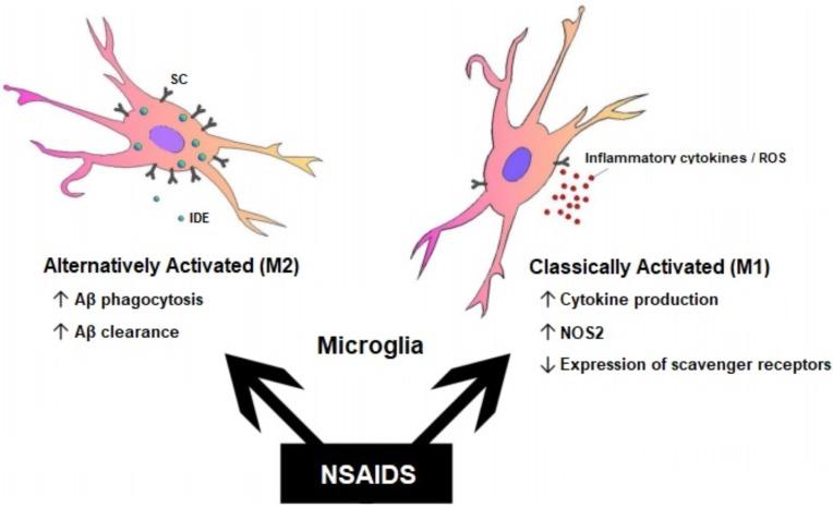 https://cdn.ncbi.nlm.nih.gov/pmc/blobs/5df2/5997862/b93f7c194782/CN-16-508_F2.jpg