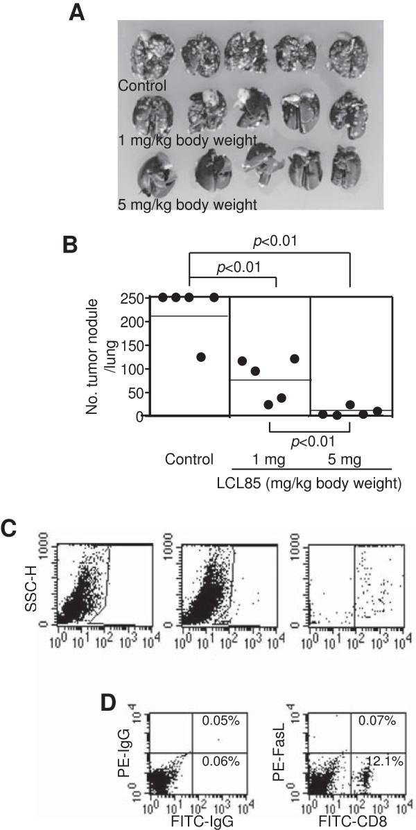 https://cdn.ncbi.nlm.nih.gov/pmc/blobs/5df3/3898374/c673ee74f47a/1471-2407-14-24-12.jpg