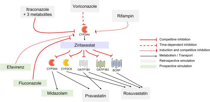 https://cdn.ncbi.nlm.nih.gov/pmc/blobs/5df4/10651654/4d37fe4513bb/CTS-16-2222-g001.jpg