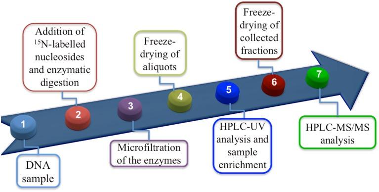 https://cdn.ncbi.nlm.nih.gov/pmc/blobs/5df4/4367438/5c2701a77ab5/fchem-03-00018-g0002.jpg
