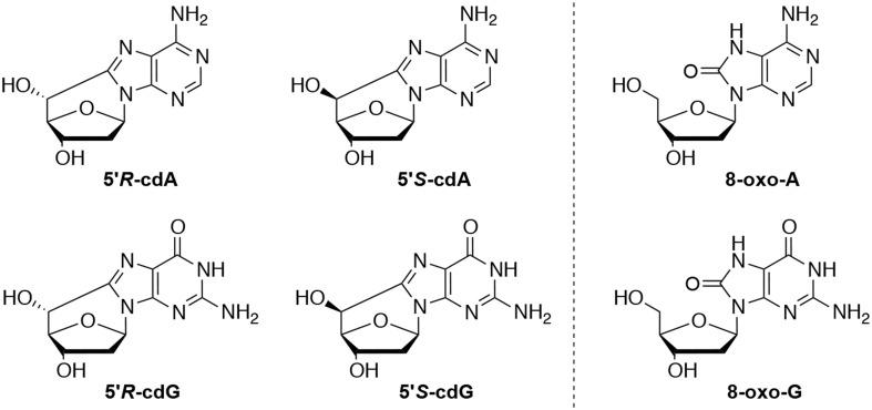 https://cdn.ncbi.nlm.nih.gov/pmc/blobs/5df4/4367438/b5b411c6a7ae/fchem-03-00018-g0001.jpg