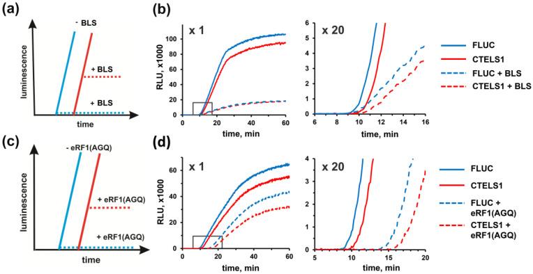 https://cdn.ncbi.nlm.nih.gov/pmc/blobs/5df4/7356799/3a9b1faabcdc/biomolecules-10-00911-g002.jpg