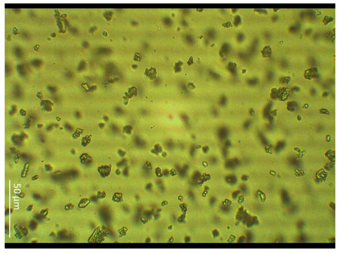 https://cdn.ncbi.nlm.nih.gov/pmc/blobs/5df5/11767663/0f436cc22102/molecules-30-00322-g003.jpg