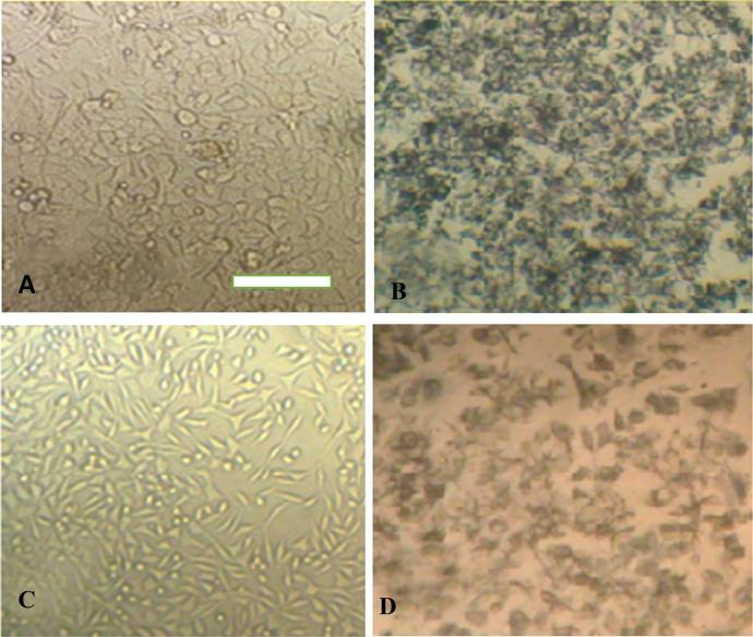 https://cdn.ncbi.nlm.nih.gov/pmc/blobs/5df5/8941513/4b5b2029570e/mt1c01311_0006.jpg