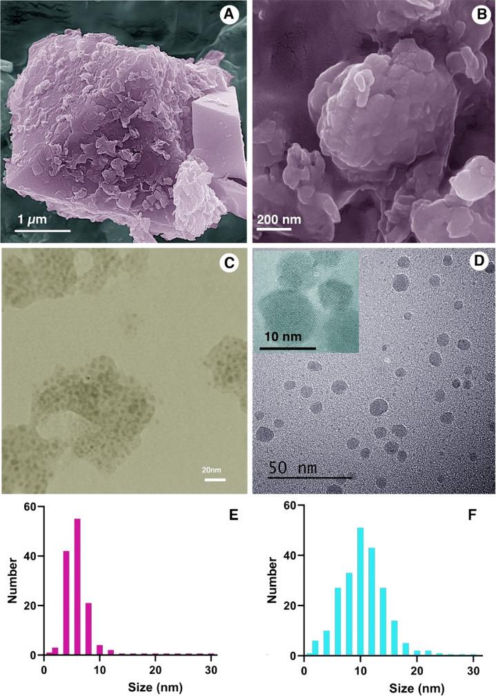 https://cdn.ncbi.nlm.nih.gov/pmc/blobs/5df5/8941513/4c4cc899e13b/mt1c01311_0003.jpg