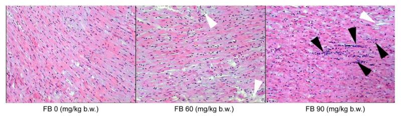 https://cdn.ncbi.nlm.nih.gov/pmc/blobs/5df5/9495192/354182a5c382/animals-12-02353-g004.jpg
