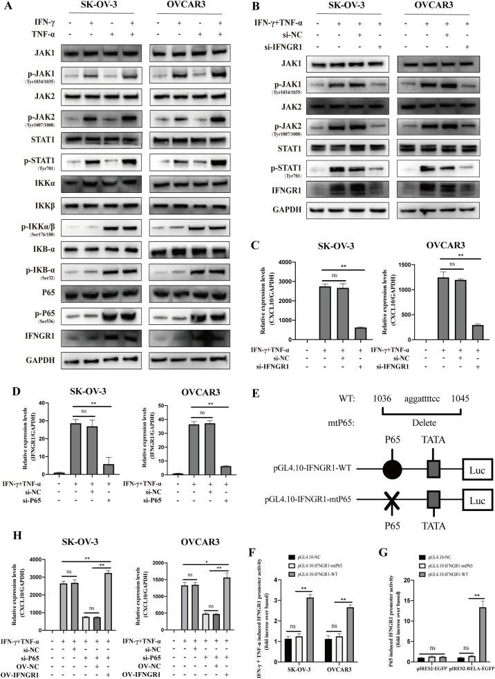https://cdn.ncbi.nlm.nih.gov/pmc/blobs/5df7/11489333/0fec5987225a/gr4.jpg