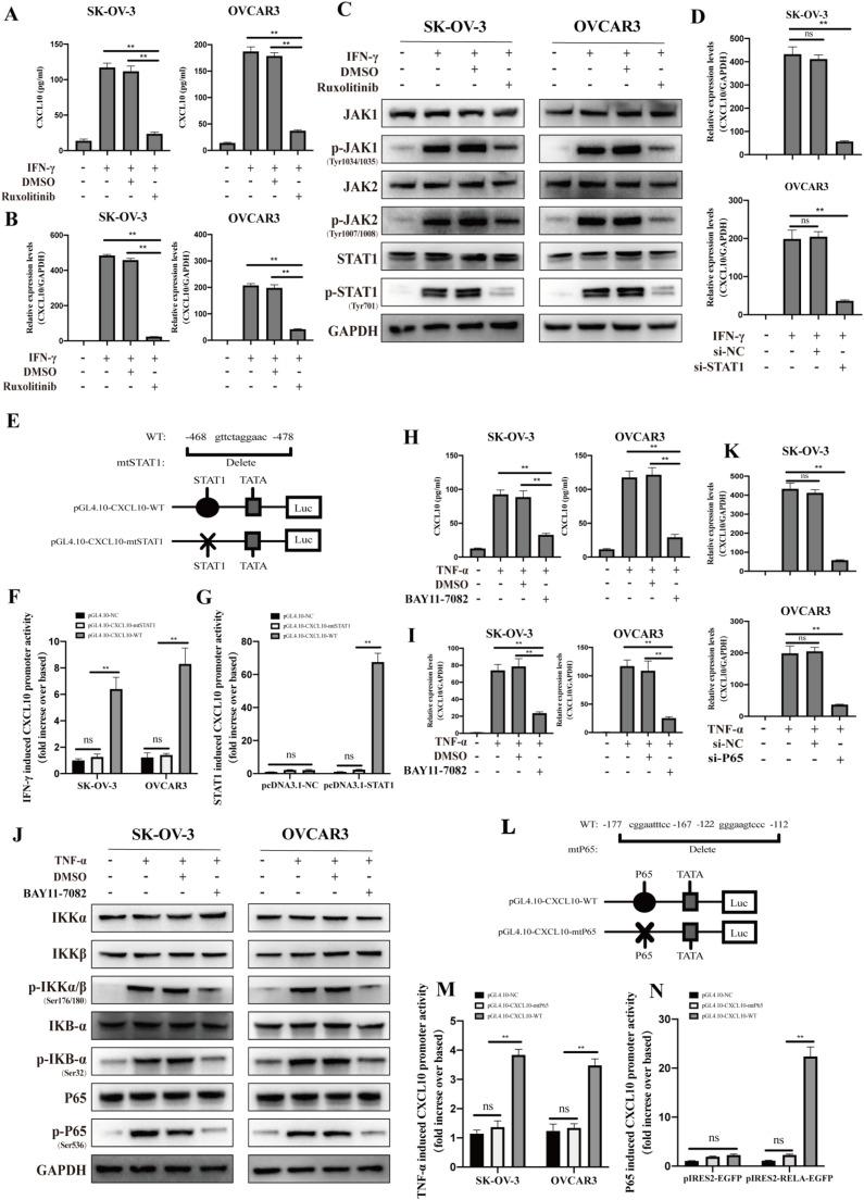 https://cdn.ncbi.nlm.nih.gov/pmc/blobs/5df7/11489333/7a58d75fae3e/gr3.jpg