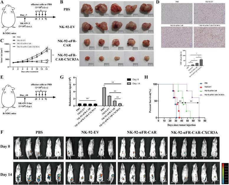 https://cdn.ncbi.nlm.nih.gov/pmc/blobs/5df7/11489333/cd1f99a088eb/gr7.jpg