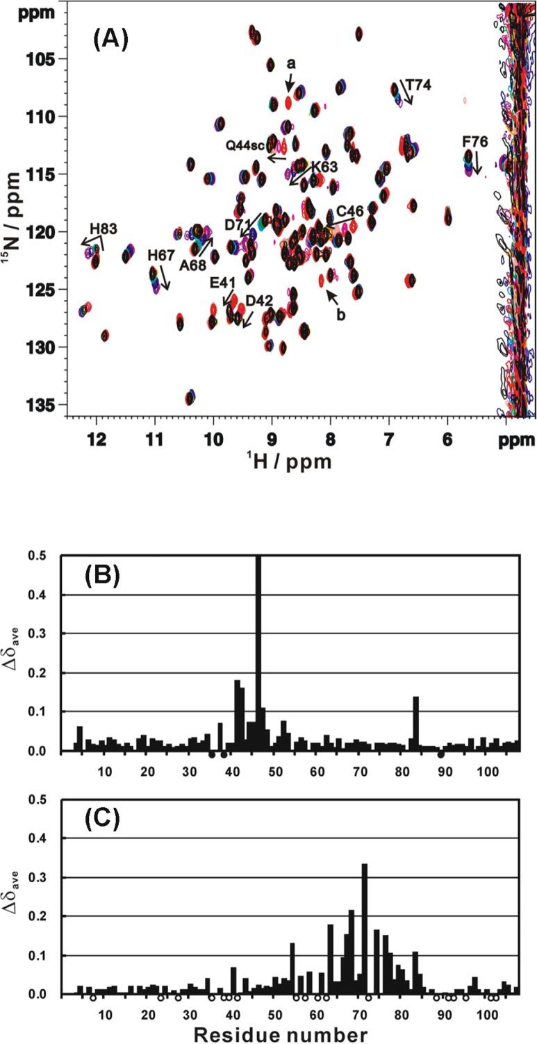 https://cdn.ncbi.nlm.nih.gov/pmc/blobs/5df8/5036644/2b9e9ad41b99/2_45f1.jpg