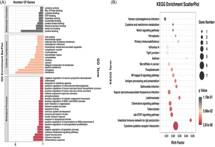 https://cdn.ncbi.nlm.nih.gov/pmc/blobs/5df9/11037255/e264caef69ba/IID3-12-e1236-g001.jpg