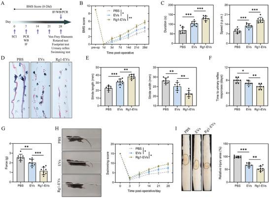 https://cdn.ncbi.nlm.nih.gov/pmc/blobs/5dfd/11336912/54d6d97a69a3/ADVS-11-2402114-g001.jpg