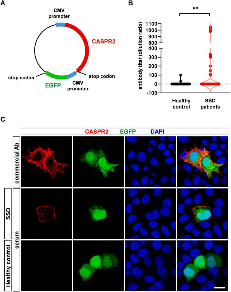 https://cdn.ncbi.nlm.nih.gov/pmc/blobs/5dfe/12210312/5adf066f3115/gr1.jpg