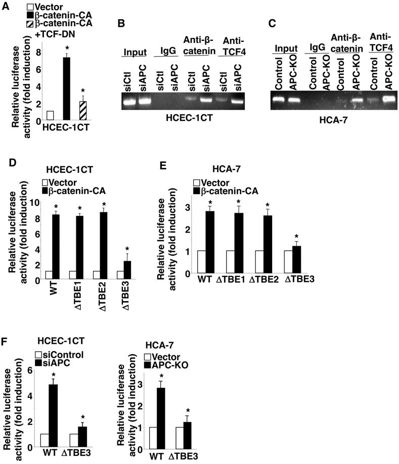 https://cdn.ncbi.nlm.nih.gov/pmc/blobs/5dfe/8526383/88dc1e96560f/nihms-1726116-f0003.jpg