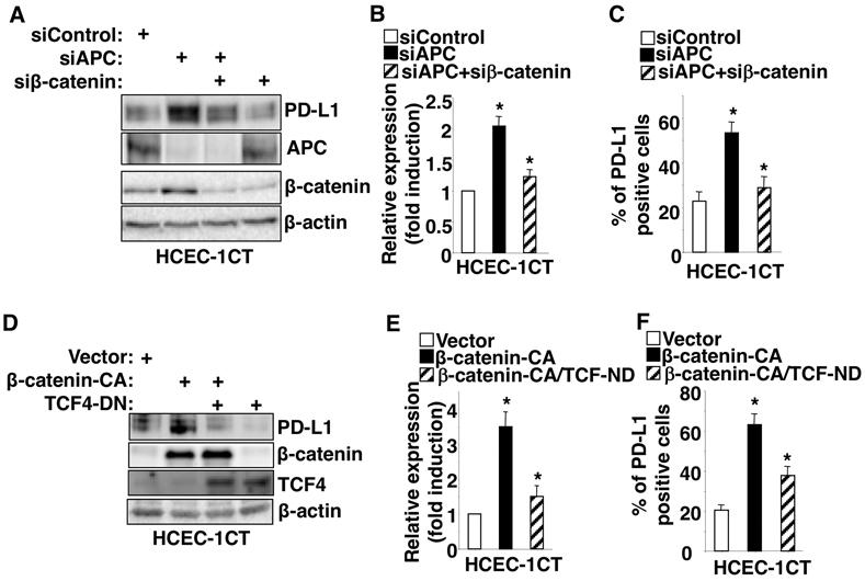 https://cdn.ncbi.nlm.nih.gov/pmc/blobs/5dfe/8526383/d3c96da5e563/nihms-1726116-f0001.jpg