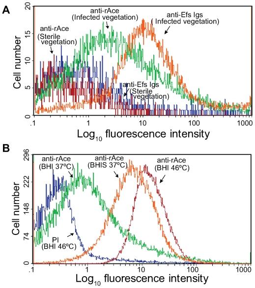 https://cdn.ncbi.nlm.nih.gov/pmc/blobs/5e00/2798748/117422e7bce3/ppat.1000716.g003.jpg