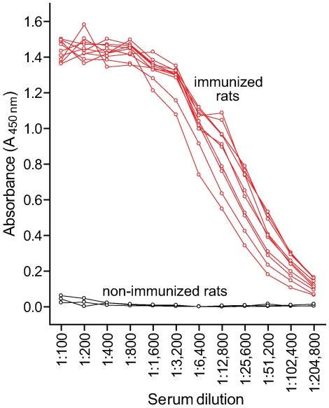 https://cdn.ncbi.nlm.nih.gov/pmc/blobs/5e00/2798748/5b87512c354d/ppat.1000716.g006.jpg