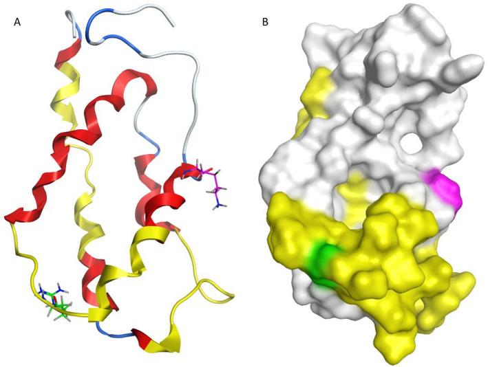 https://cdn.ncbi.nlm.nih.gov/pmc/blobs/5e01/11830569/f850fe972a21/FSN3-13-e4747-g006.jpg
