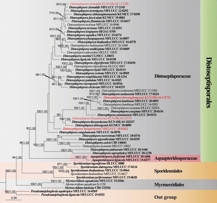 https://cdn.ncbi.nlm.nih.gov/pmc/blobs/5e03/8592981/e884328206d6/mycokeys-84-079-g001.jpg