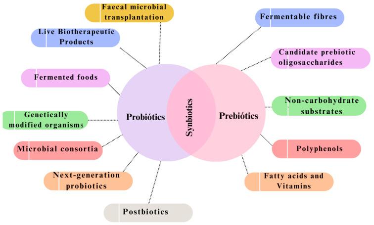 https://cdn.ncbi.nlm.nih.gov/pmc/blobs/5e07/11350912/667a5e95edf6/antibiotics-13-00720-g002.jpg