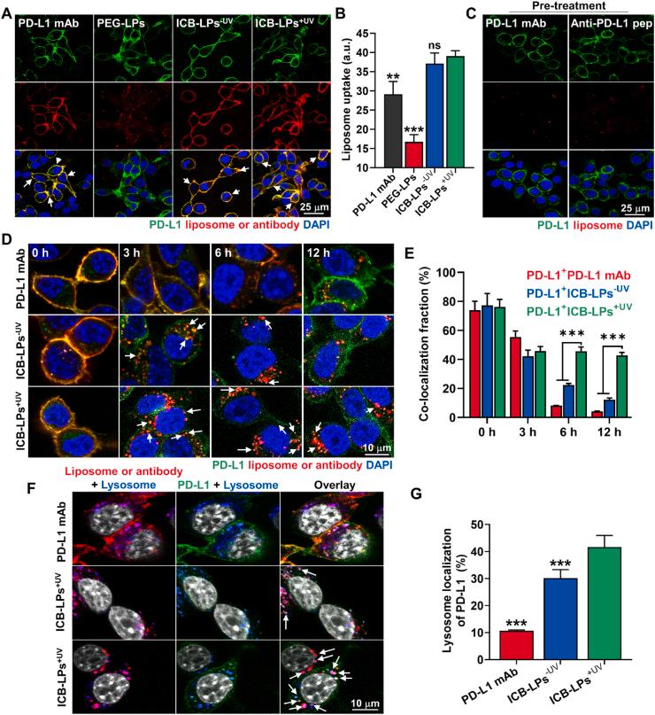 https://cdn.ncbi.nlm.nih.gov/pmc/blobs/5e08/10934337/1792ce0f1ff8/gr2.jpg
