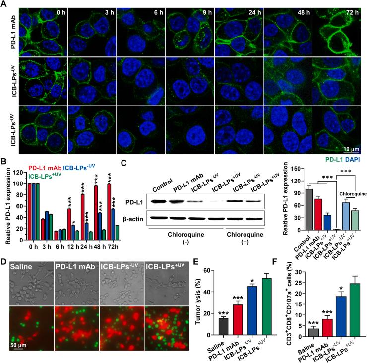 https://cdn.ncbi.nlm.nih.gov/pmc/blobs/5e08/10934337/a272d9405d47/gr3.jpg
