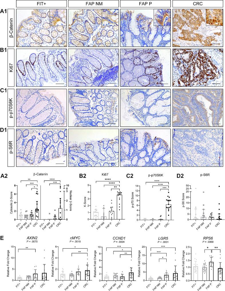 https://cdn.ncbi.nlm.nih.gov/pmc/blobs/5e08/11227240/d815178ac5be/12967_2024_5305_Fig6_HTML.jpg