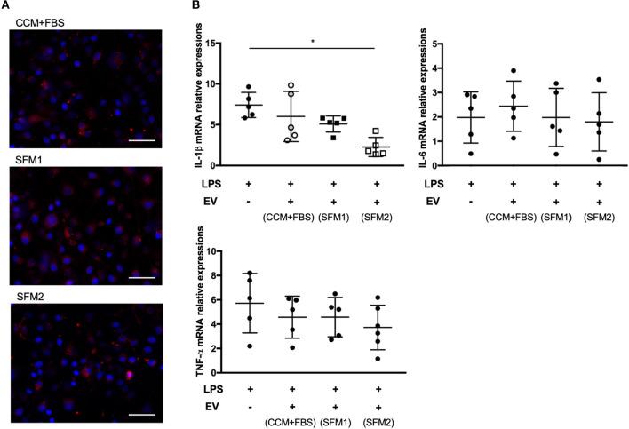 https://cdn.ncbi.nlm.nih.gov/pmc/blobs/5e08/8113404/739a158ee41d/fvets-08-633426-g0005.jpg