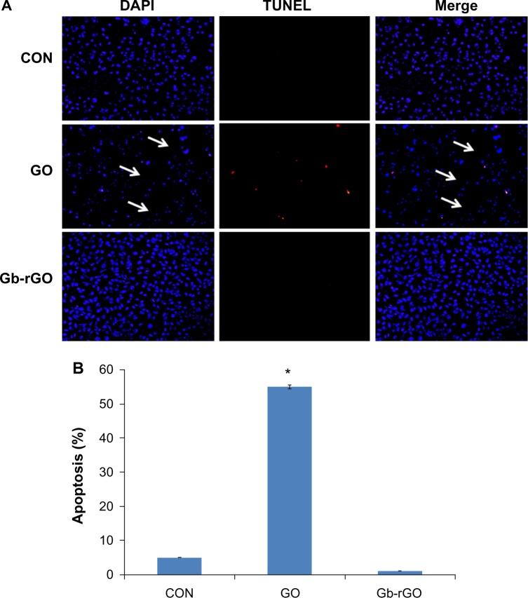 https://cdn.ncbi.nlm.nih.gov/pmc/blobs/5e09/3890967/d01113a8c94e/ijn-9-363Fig10.jpg