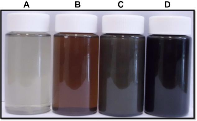 https://cdn.ncbi.nlm.nih.gov/pmc/blobs/5e09/3890967/d972733523f4/ijn-9-363Fig1.jpg