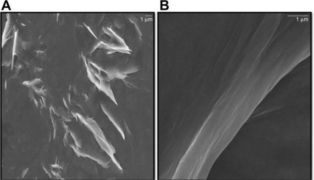 https://cdn.ncbi.nlm.nih.gov/pmc/blobs/5e09/3890967/dfd728cacd2c/ijn-9-363Fig7.jpg