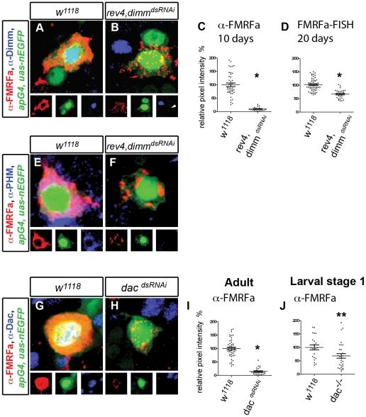 https://cdn.ncbi.nlm.nih.gov/pmc/blobs/5e0b/3285578/c2fdaa904579/pgen.1002501.g003.jpg