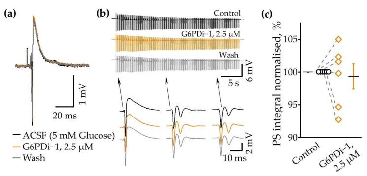https://cdn.ncbi.nlm.nih.gov/pmc/blobs/5e0c/10856462/d7d8b083d683/ijms-25-01934-g003.jpg