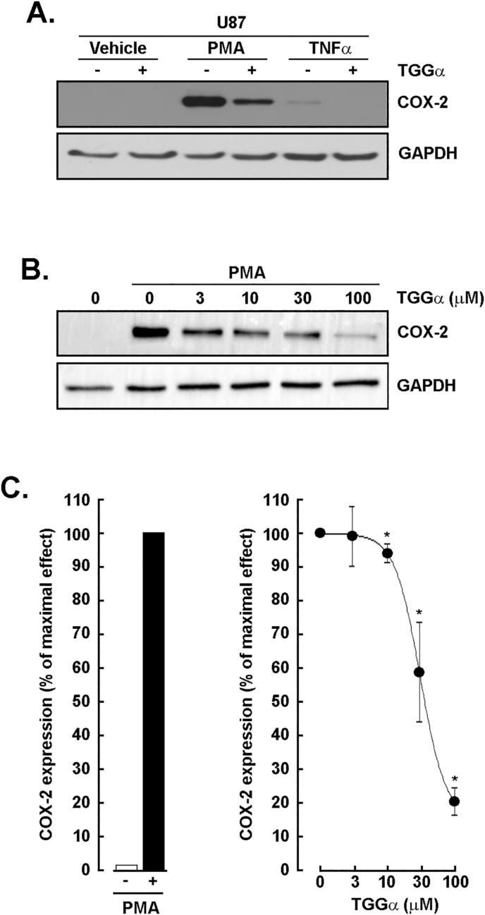 https://cdn.ncbi.nlm.nih.gov/pmc/blobs/5e0c/12004382/60f98e6140be/gr4.jpg