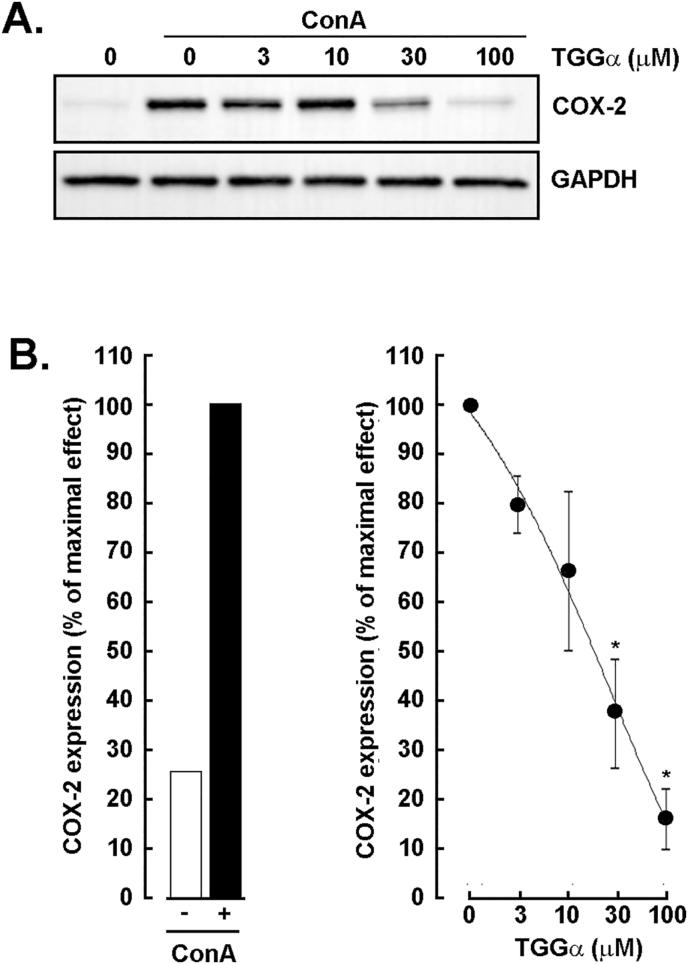 https://cdn.ncbi.nlm.nih.gov/pmc/blobs/5e0c/12004382/c8674c832704/gr3.jpg