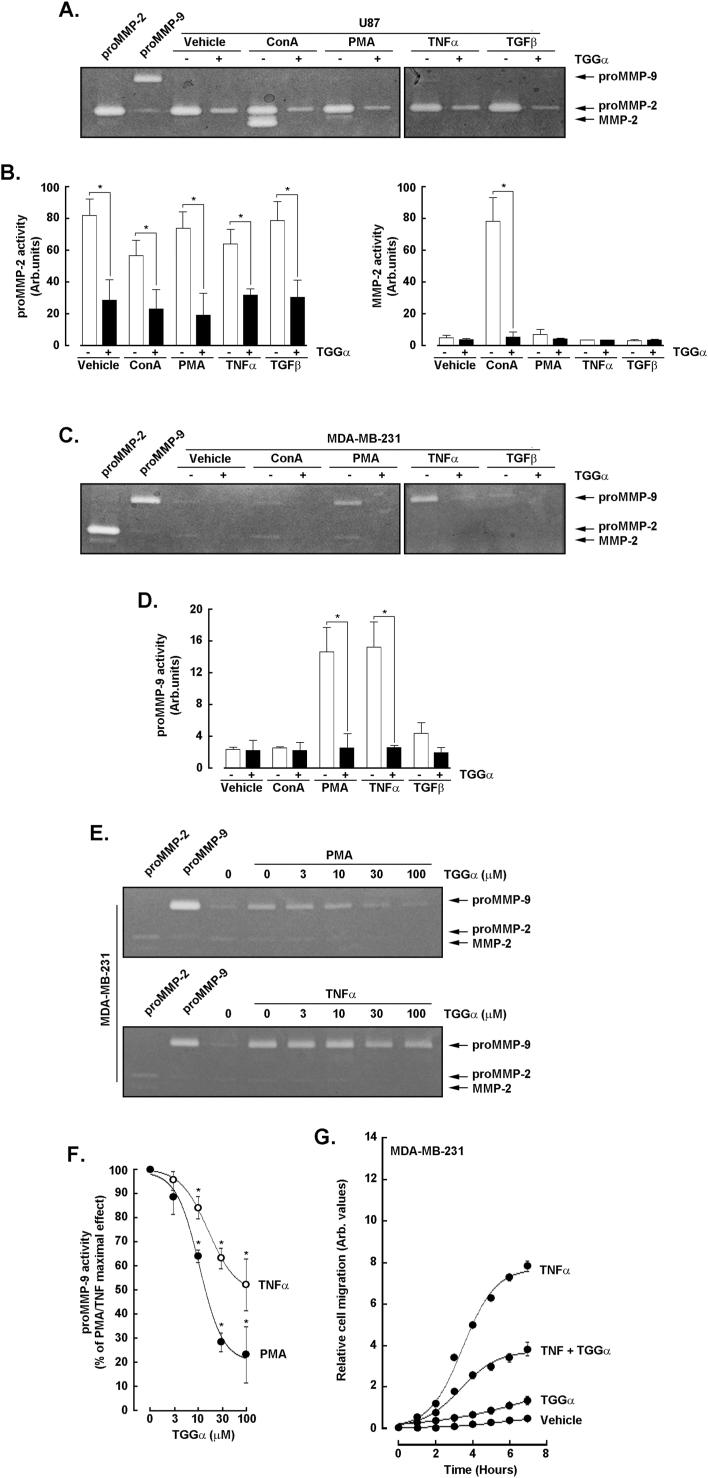 https://cdn.ncbi.nlm.nih.gov/pmc/blobs/5e0c/12004382/cced646710ea/gr1.jpg