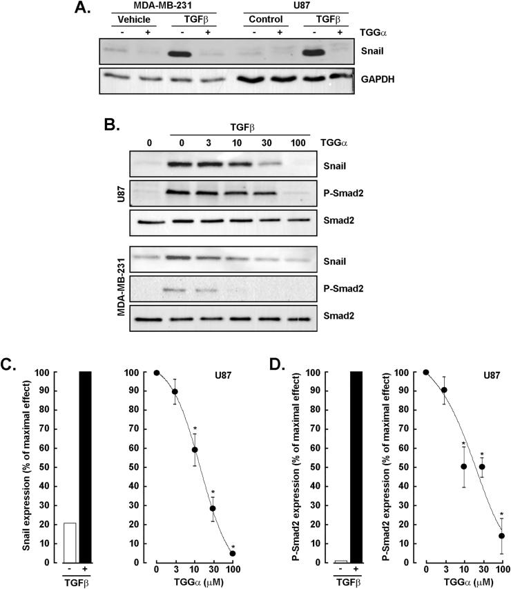 https://cdn.ncbi.nlm.nih.gov/pmc/blobs/5e0c/12004382/ce4197c65681/gr5.jpg